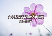 大中型客货车驾驶人审验有哪些规定？