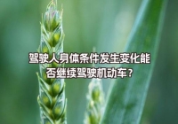 驾驶人身体条件发生变化能否继续驾驶机动车？